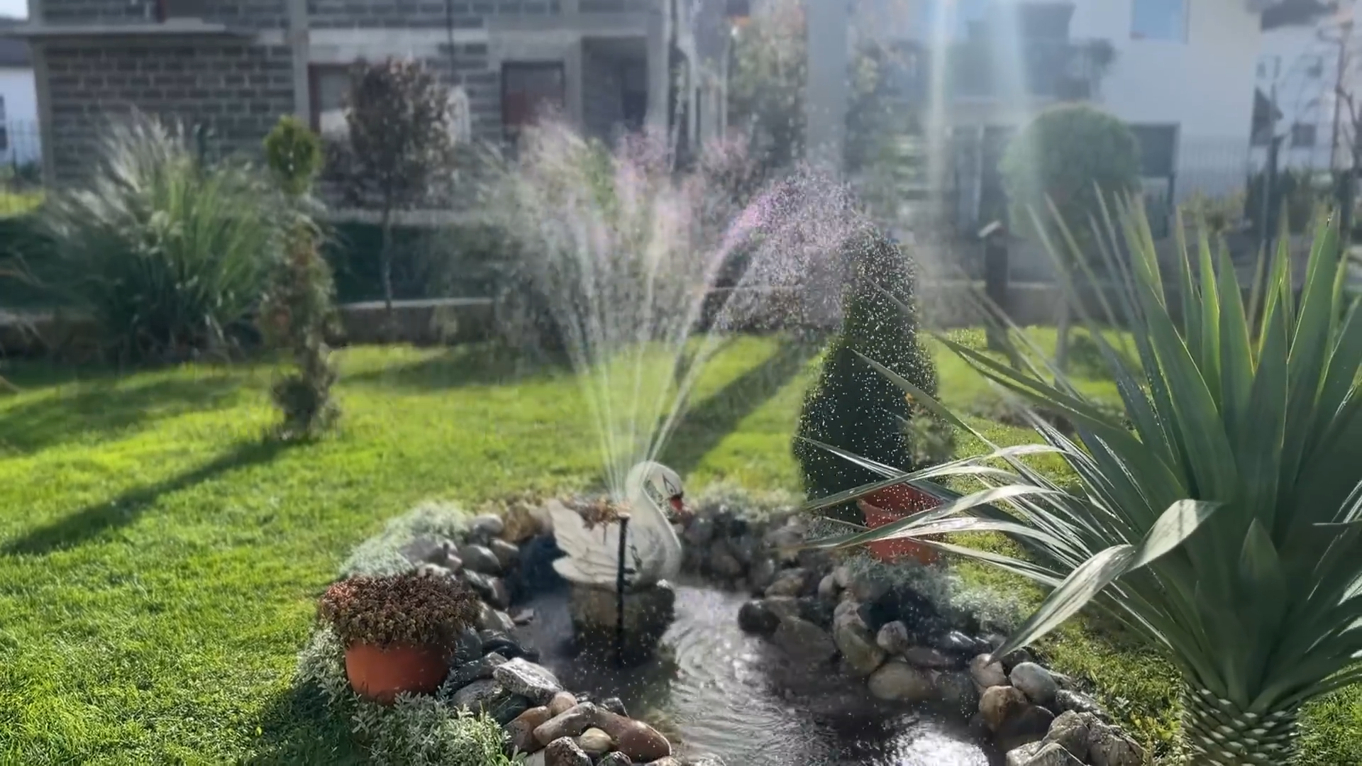 Creative Designs for Small Ponds in the Backyard