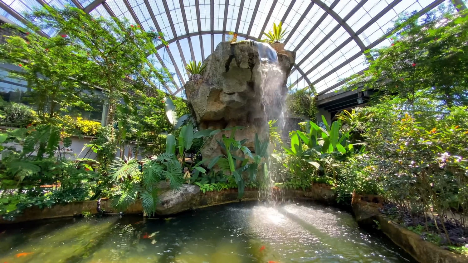 Step-by-Step Garden Pond Guide: How to Build a Garden Pond with Poposoap