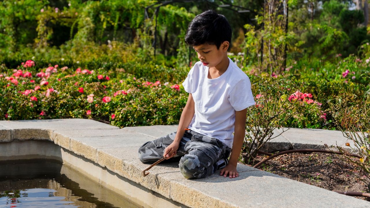Backyard Pond Learning: Turning Your Pond into a Playground & Classroom