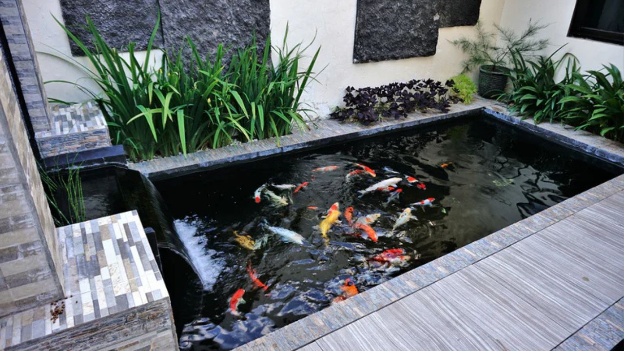 DIY Fish Pond: Build a Relaxing Backyard Oasis in 7 Easy Steps