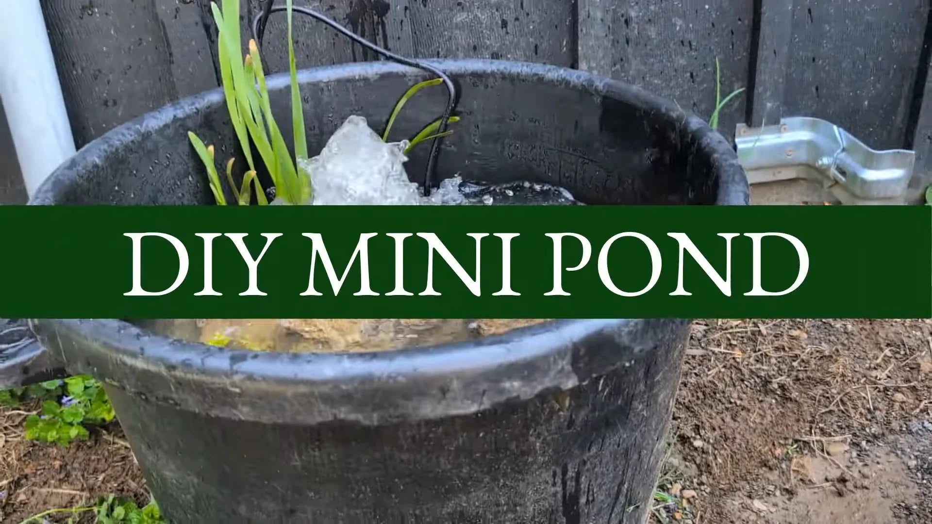 DIY Mini Container Pond Garden: Super Simple Step-by-Step Guide