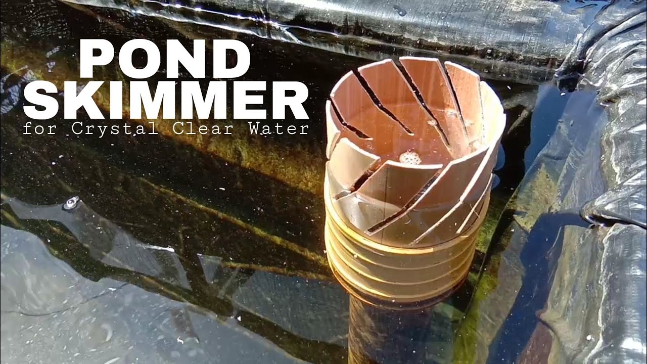 How to Build a DIY Pond Skimmer (Simple, Budget-Friendly & Effective)