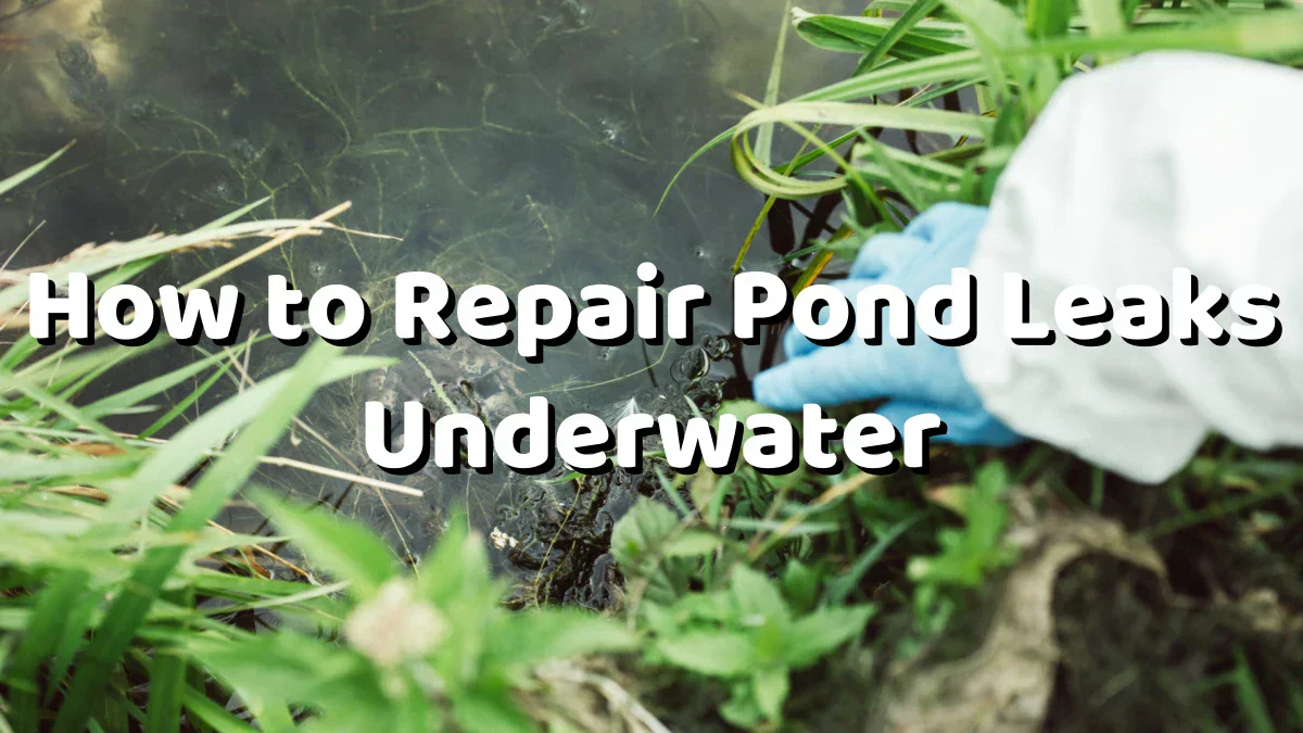 How to Repair Pond Leaks Underwater