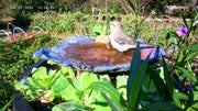 Why Choose Poposoap Solar Birdbath Pumps? Energy Saving and Environmental Protection
