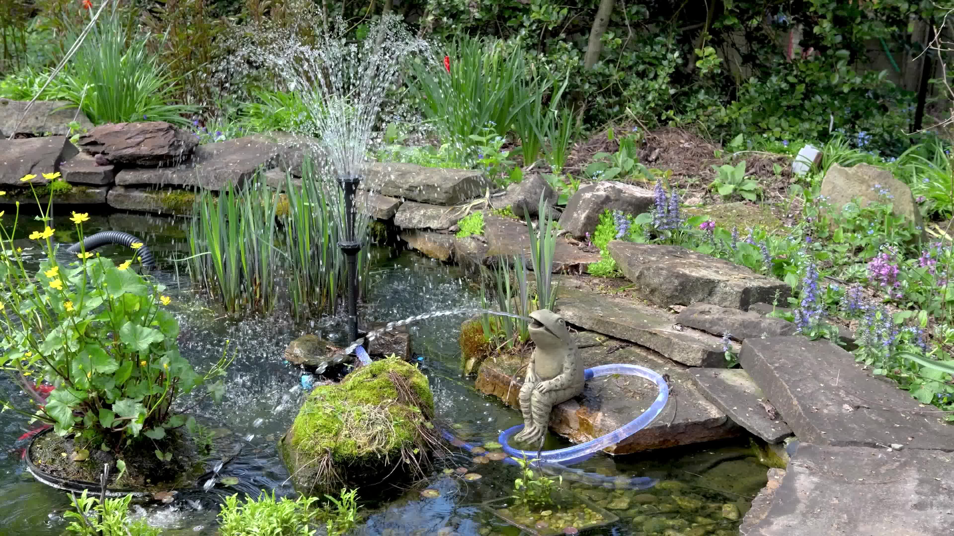 Why Poposoap Solar Pond Floating Fountain Is Ideal for an Eco-Friendly Pond?
