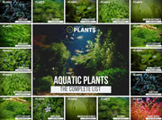 List of Plants in the Aquatic Biome