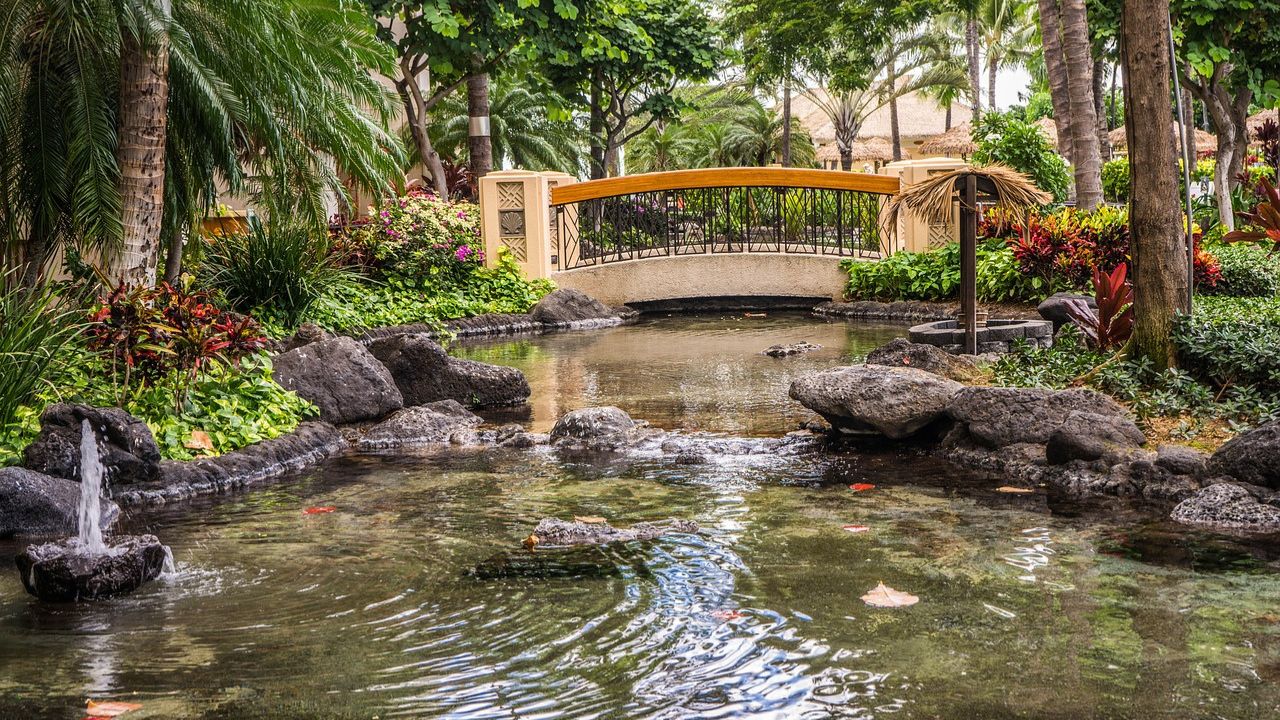 Makeover Your Shady Garden with the Best Shade Perennials