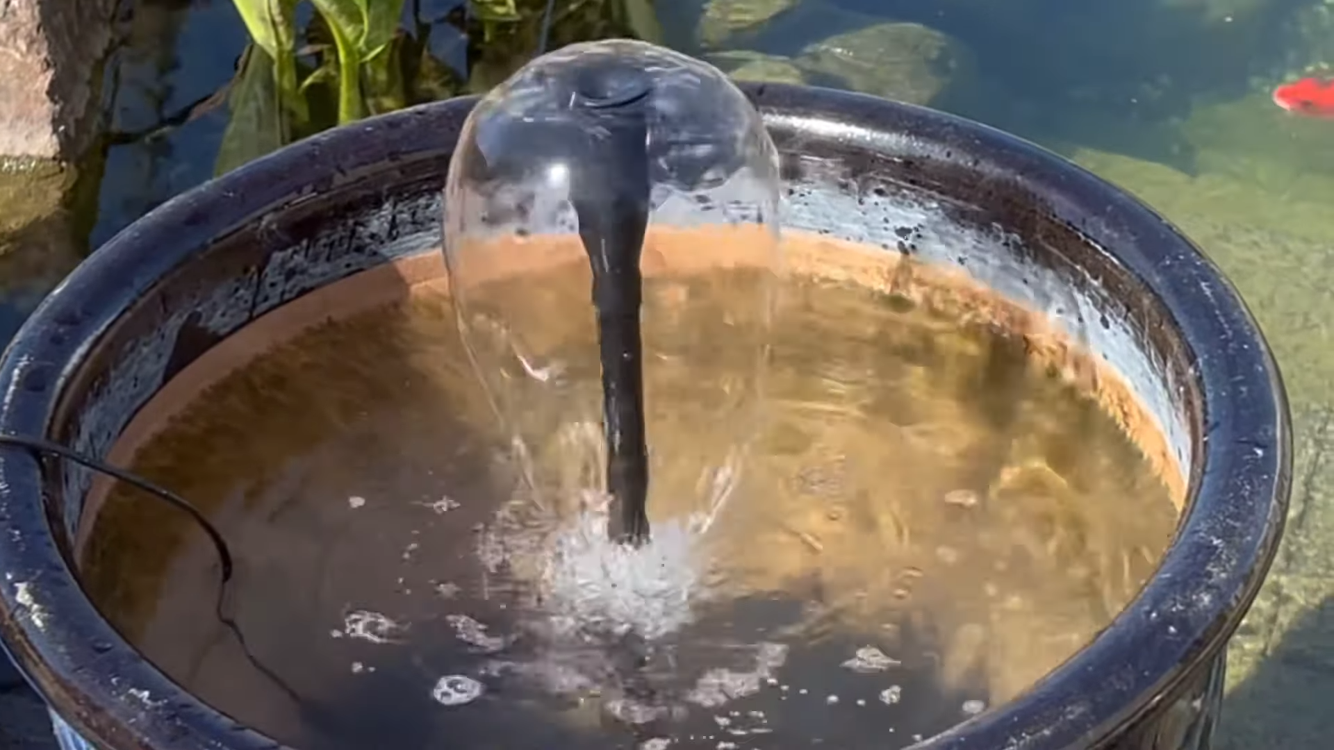 Solar water pump fountain: a new choice for creating creative water features