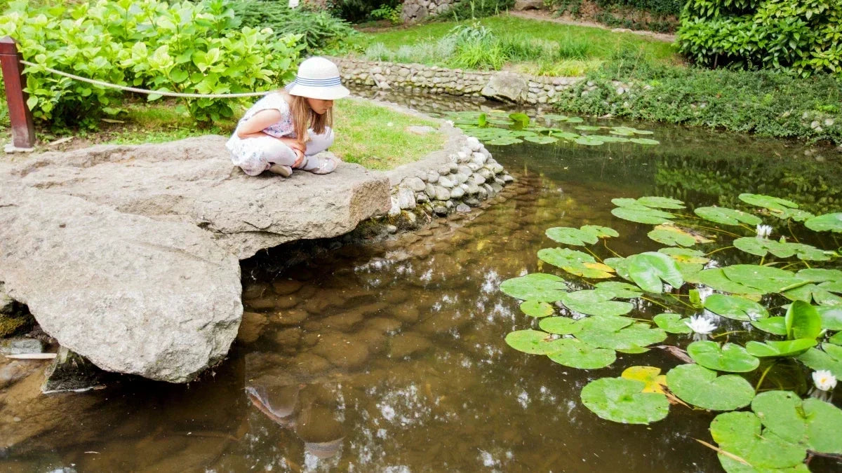 Titelbild Create Natuerlicher Teich