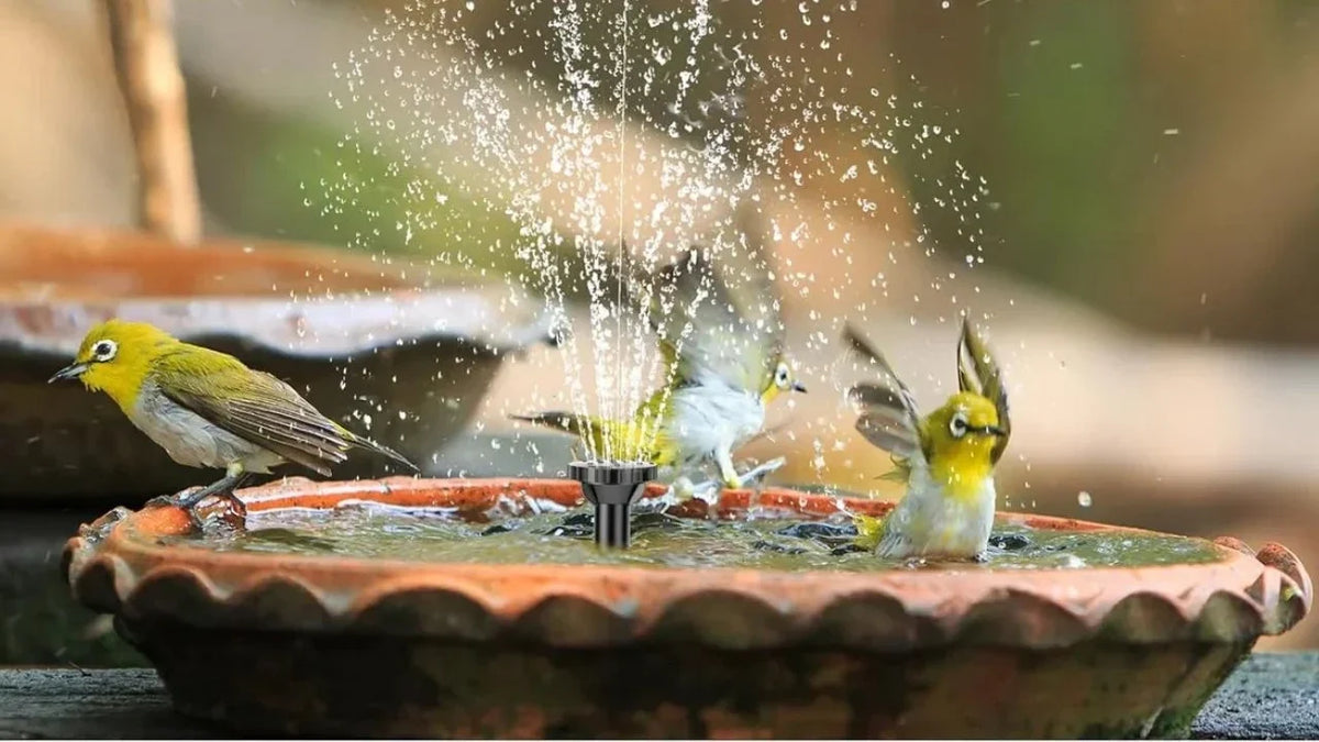 Titelbild Solar Springbrunnen Birdbaths