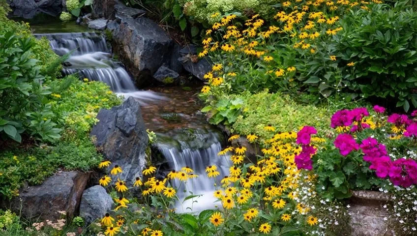 Titelbild Wasserfall Pflanzen