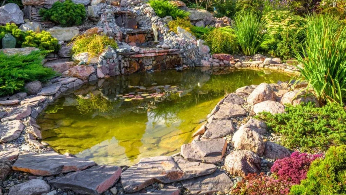 Titelbild Wasserstoff Peroxid fuer Algae