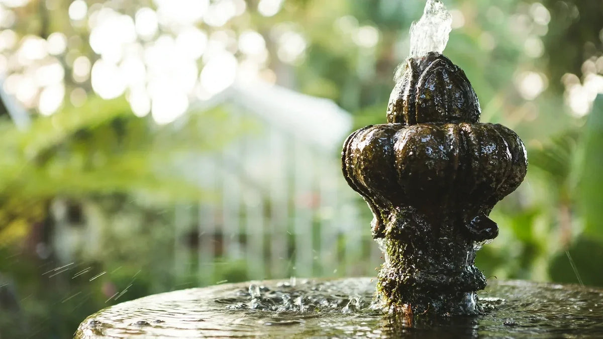 Titelbild wie often sollte I wechseln Wasser in an Aussenbereich Springbrunnen