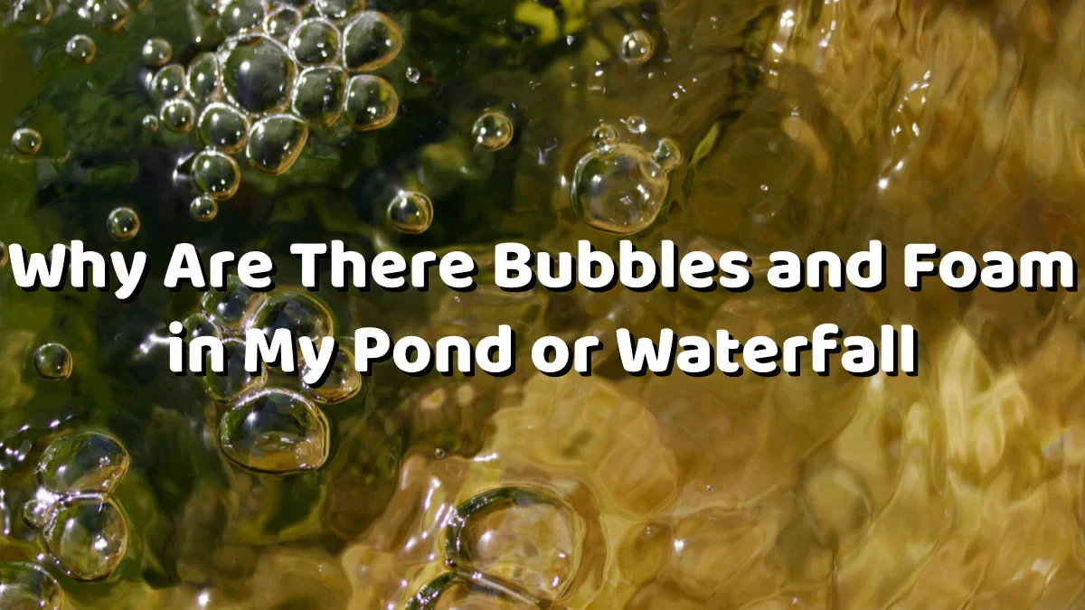 Why Are There Bubbles and Foam in My Pond or Waterfall