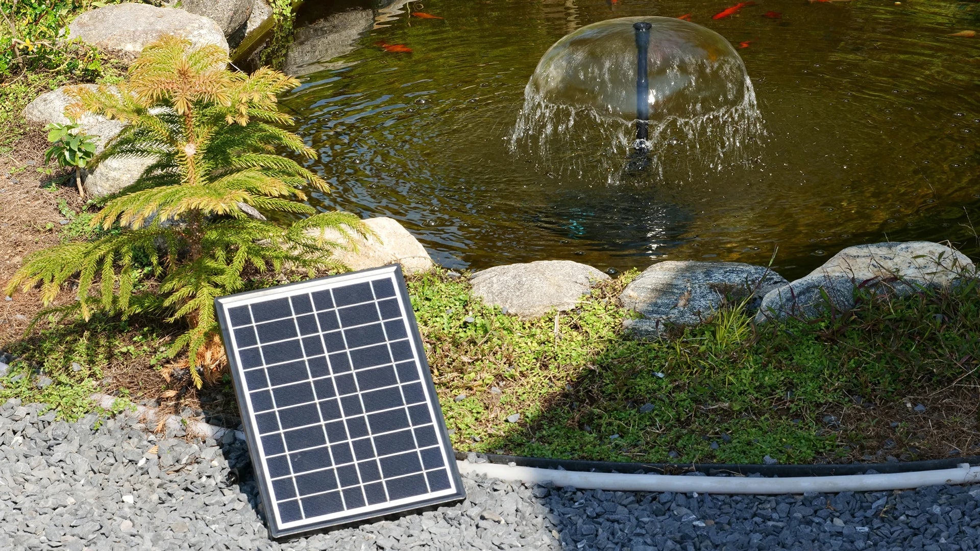 do solar fountain pumps need direct sunlight