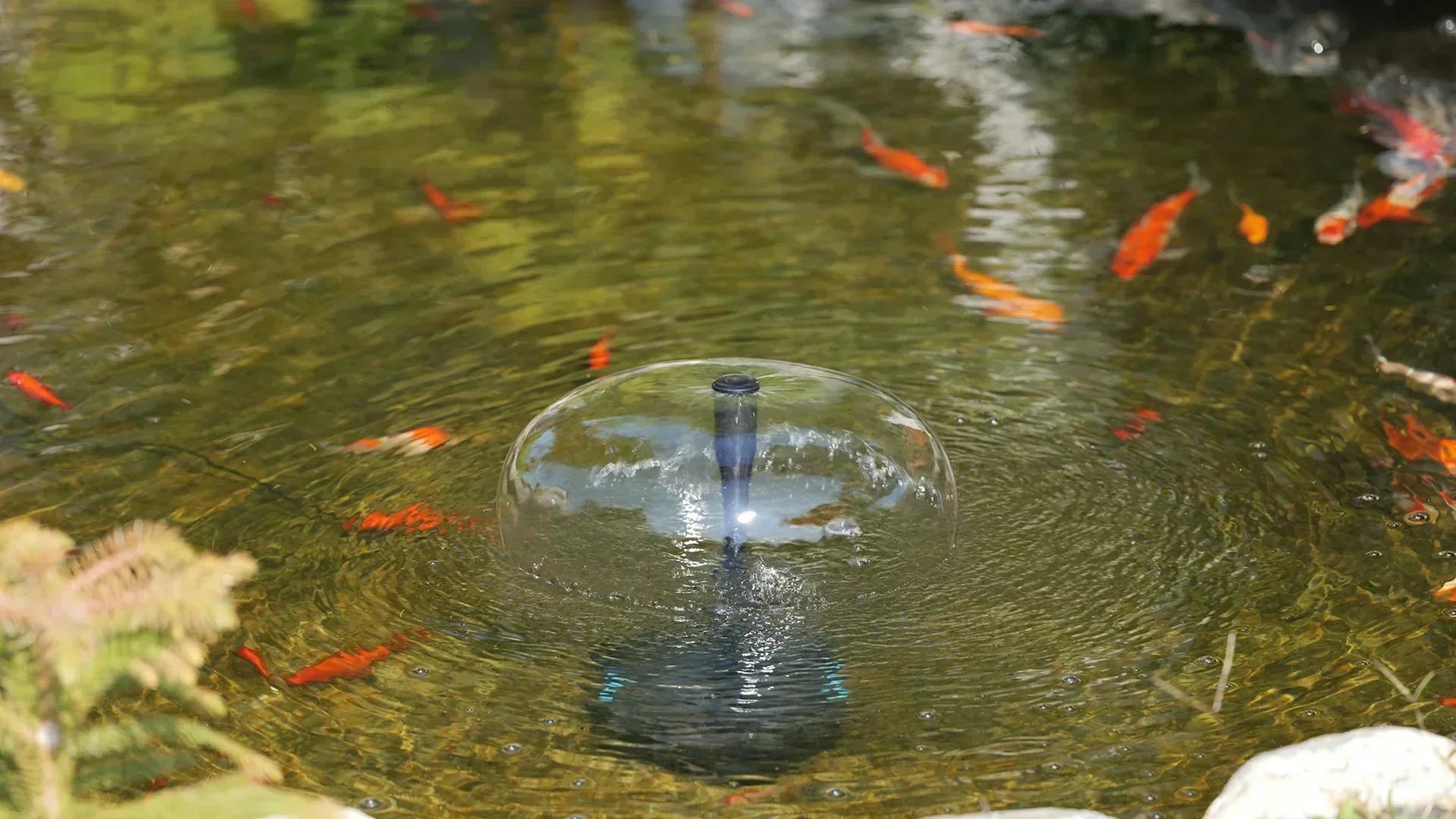 guide to a pond filtration