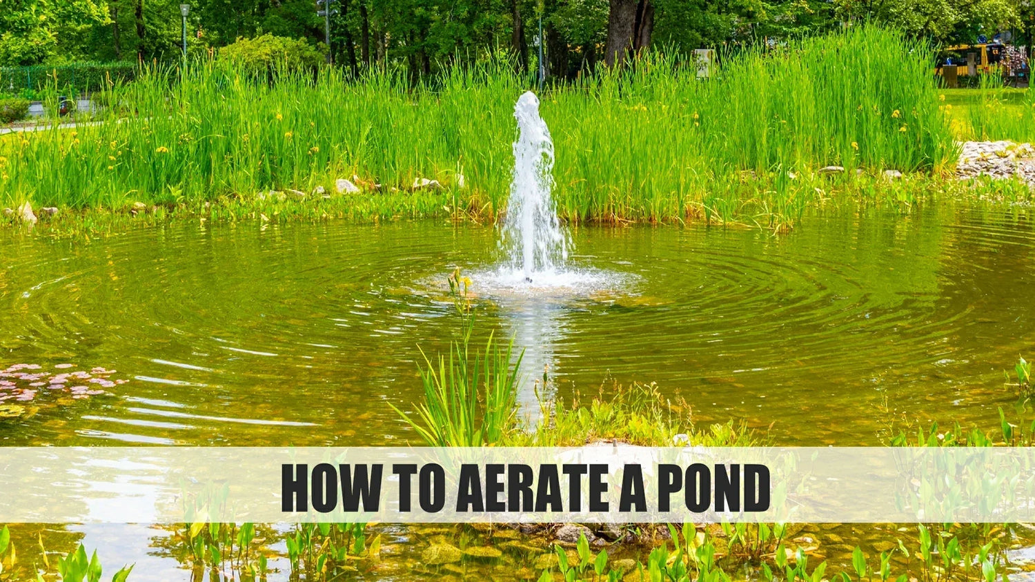 how do you aerate a pond