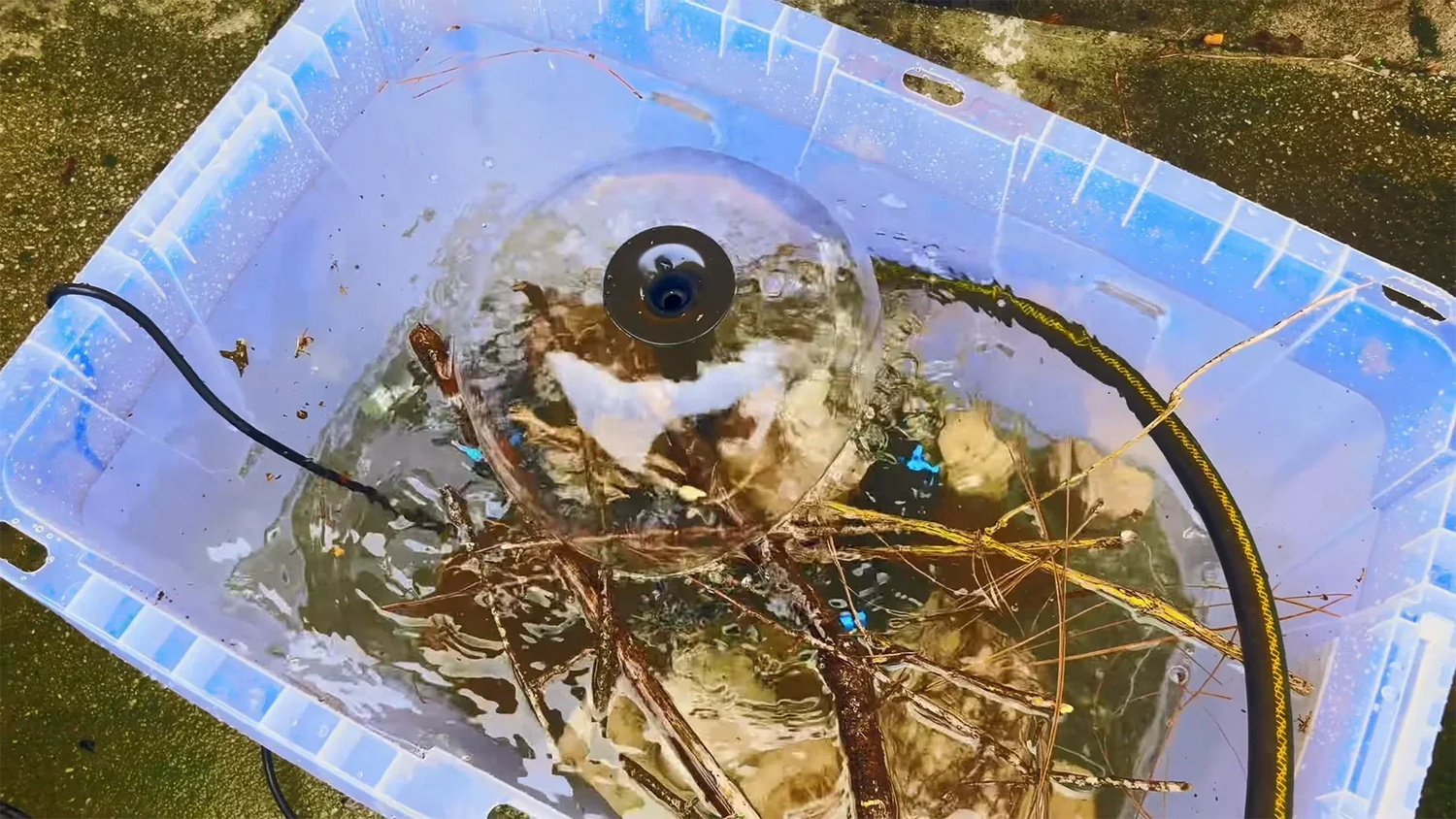 large plastic basin with fountain pumps