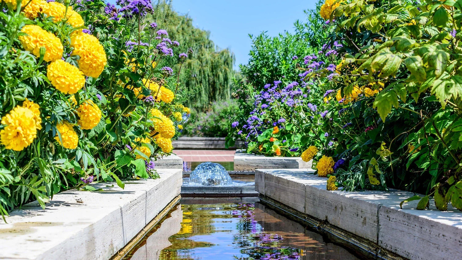 seasonal pond care checklist