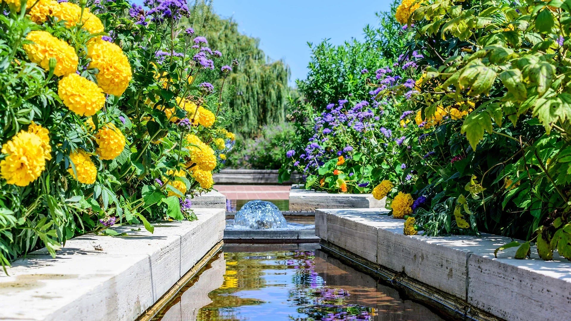 seasonal pond care checklist