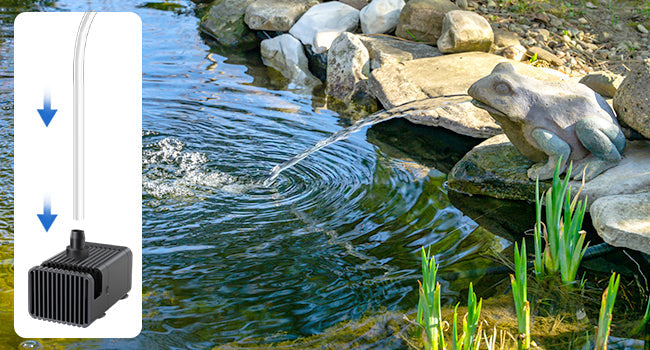 How to Install an Energy-Efficient Pond Pump