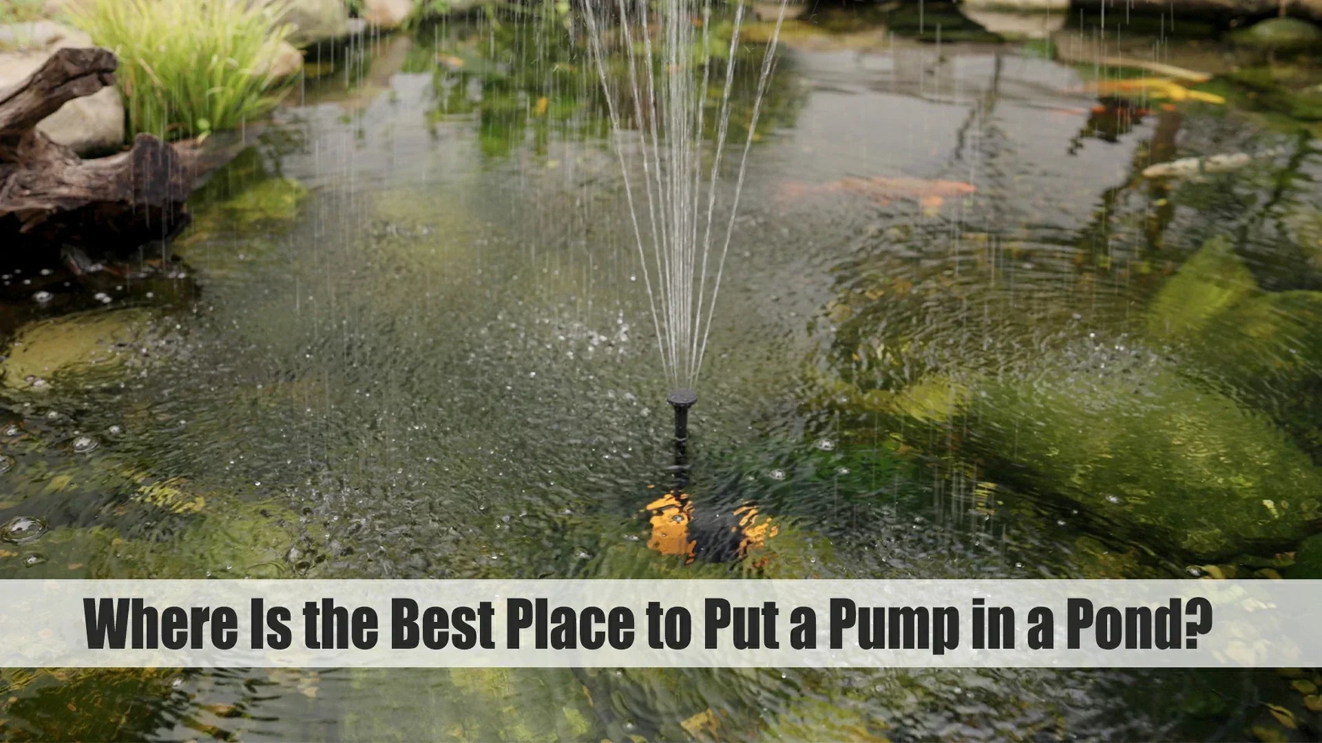 where is the best place to put a pond pump
