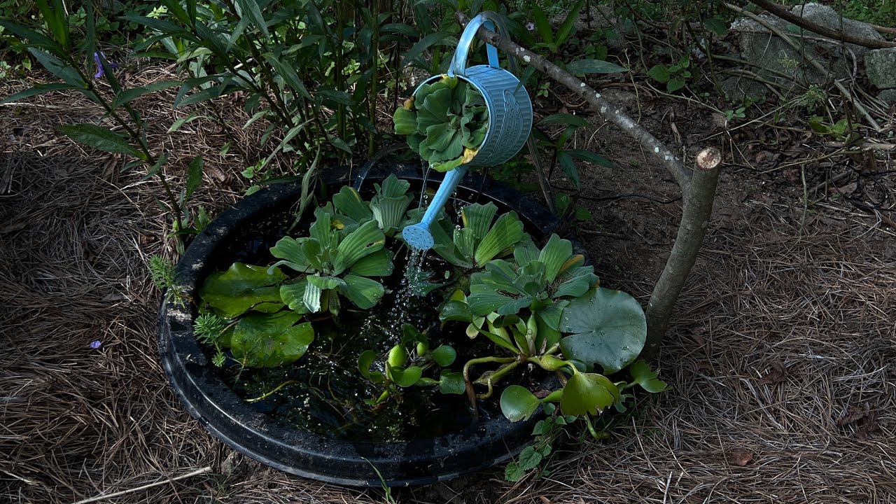 A Complete Installation Record of The Poposoap 12-watt Solar Water Pump