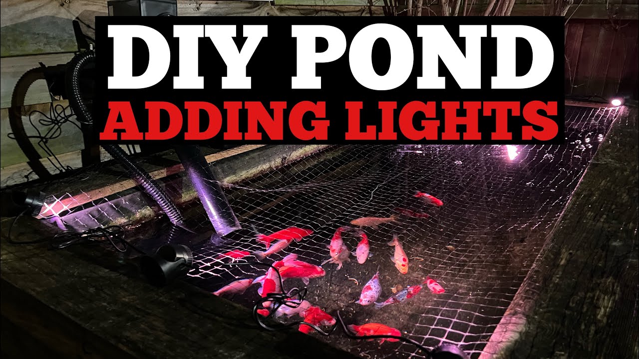 My DIY Pond Light Installation Experience