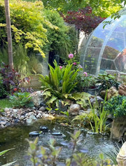 1-Pond_Location