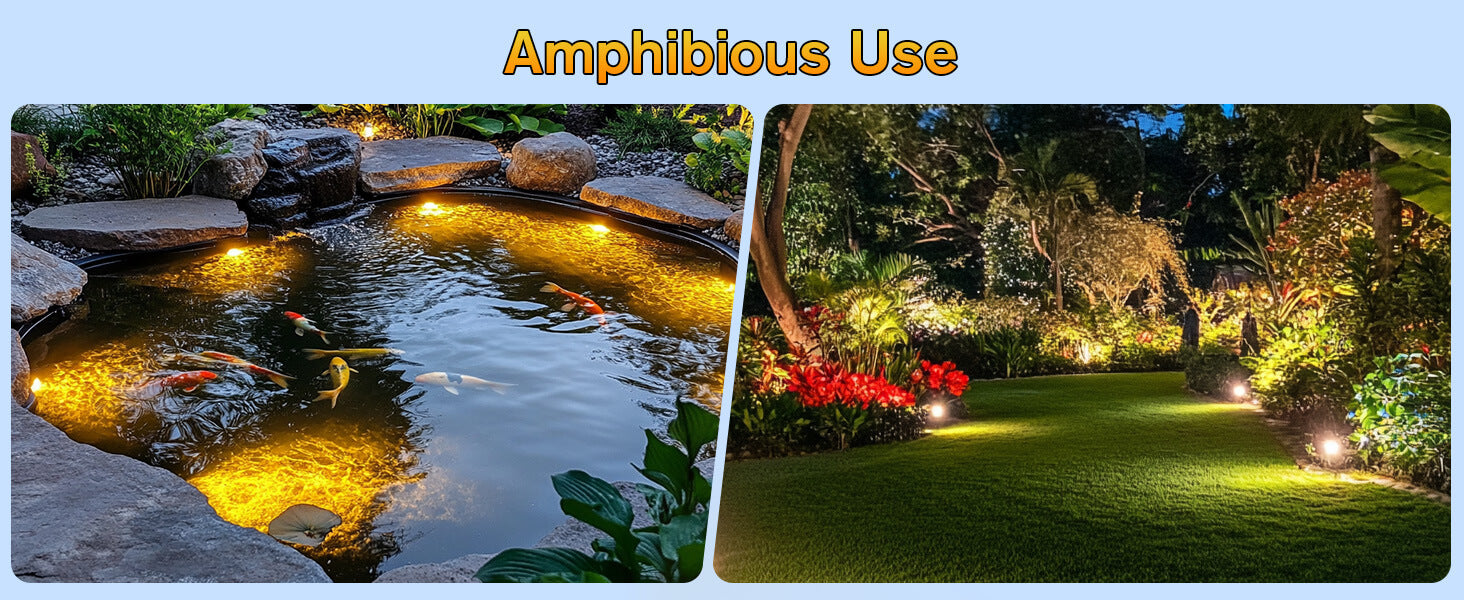 Amphibious Design for Water & Land - Perfect for Ponds, Gardens, and Landscapes