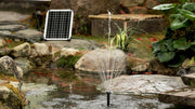 Enjoy Crystal Clear Water and Stunning Fountains