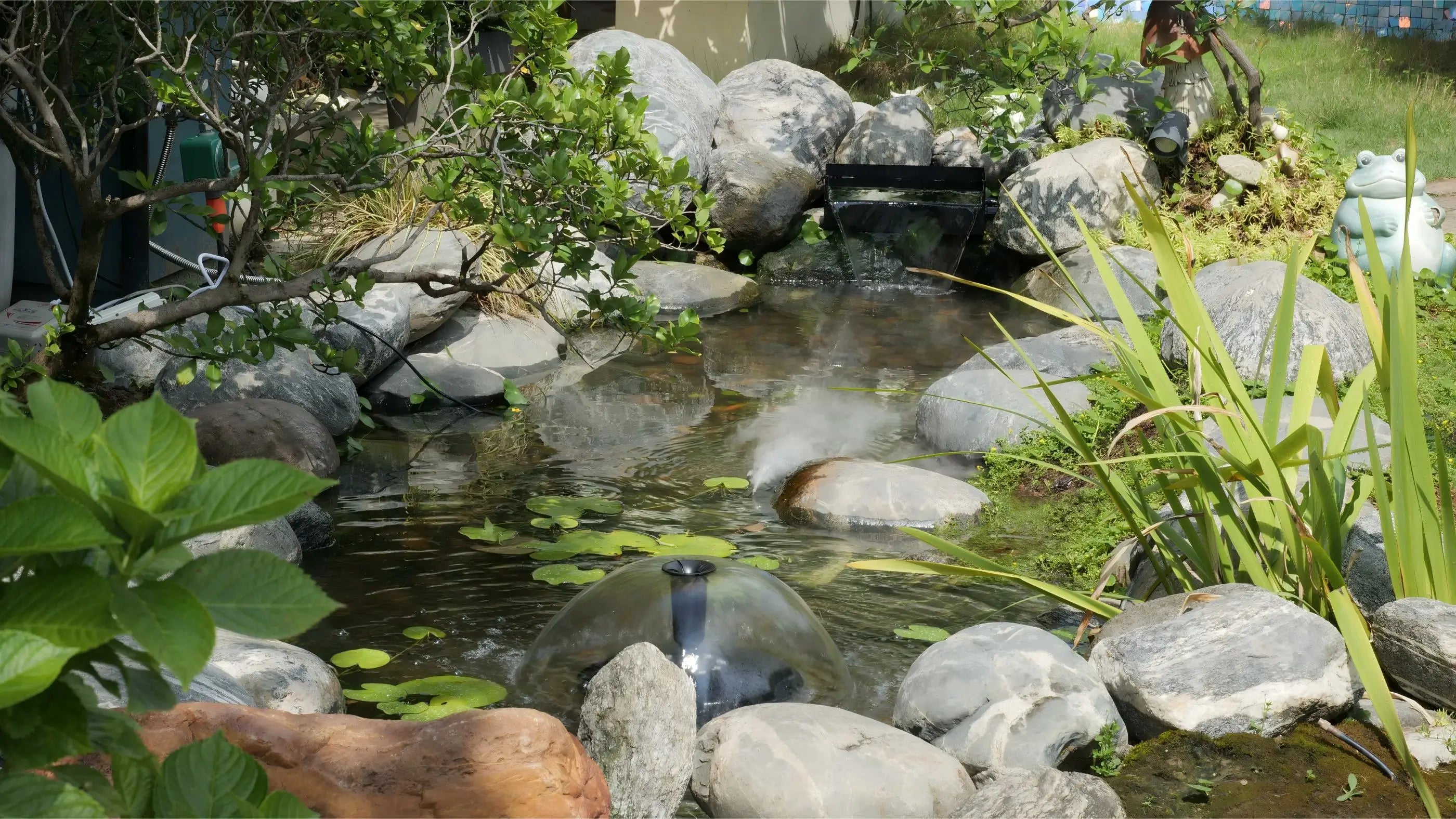 Create Your Dream Pond