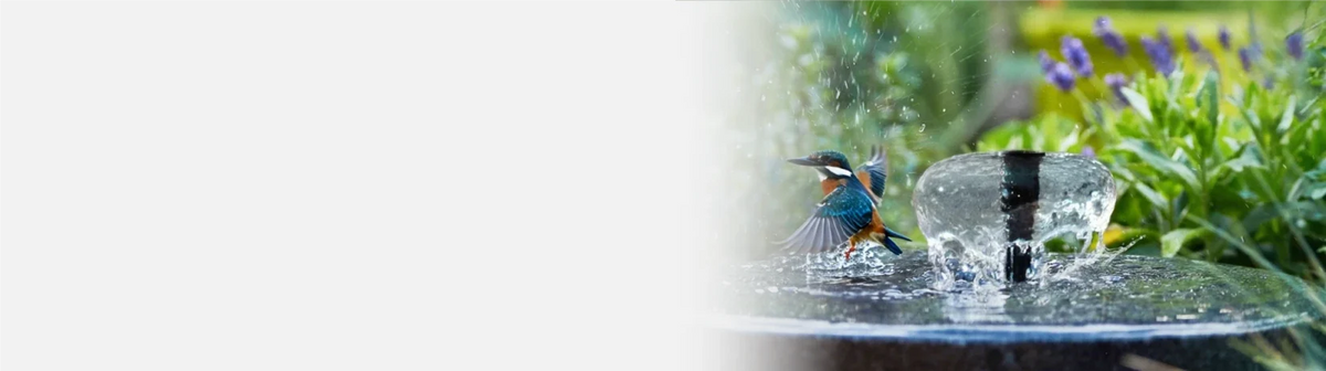 Pompes solaires pour fontaines d'oiseaux
