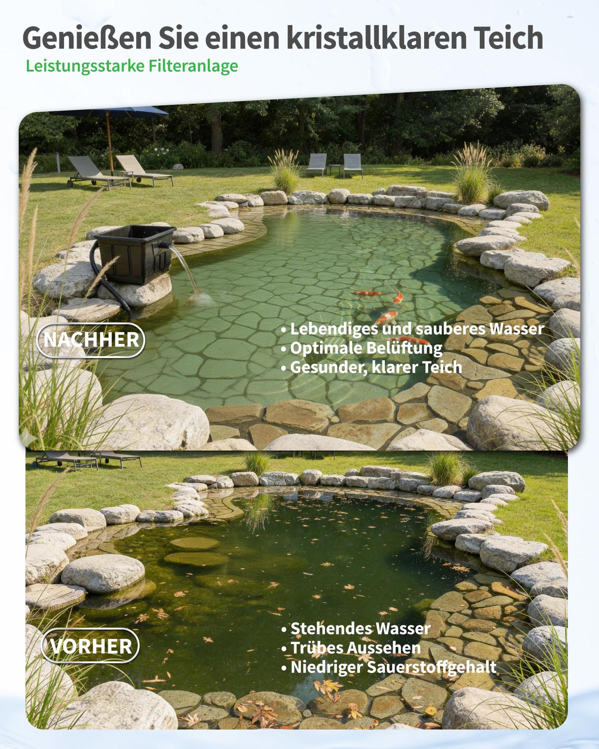 Grand kit de filtration pour bassin, conception hors-sol pour un entretien facile