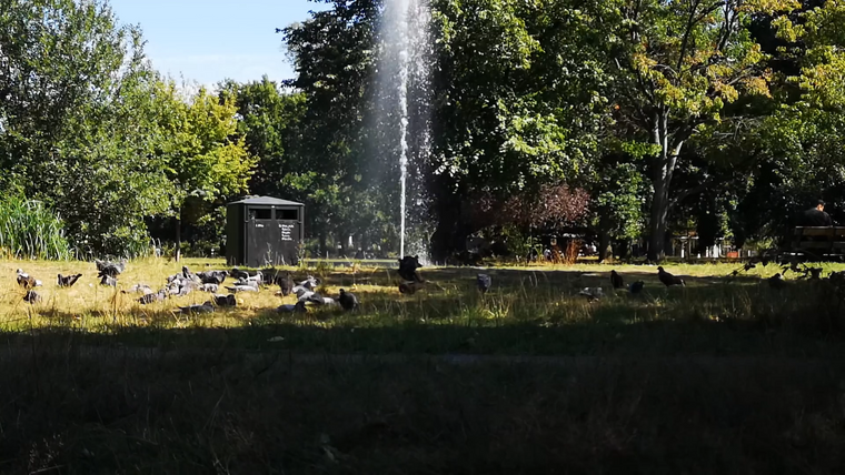 Comment concevoir la fontaine idéale avec la pompe à eau solaire Poposoap