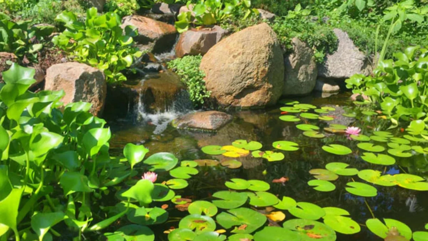 How to Plan for Your Pond and Bridge Feature
