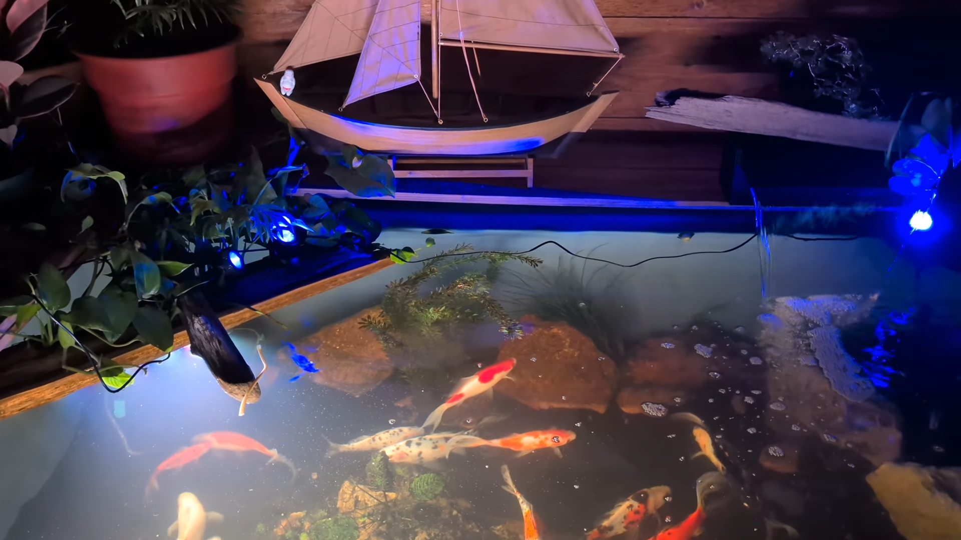 Spring Pond Renewal Program: Poposoap Promotion and Solar Light Test Guide