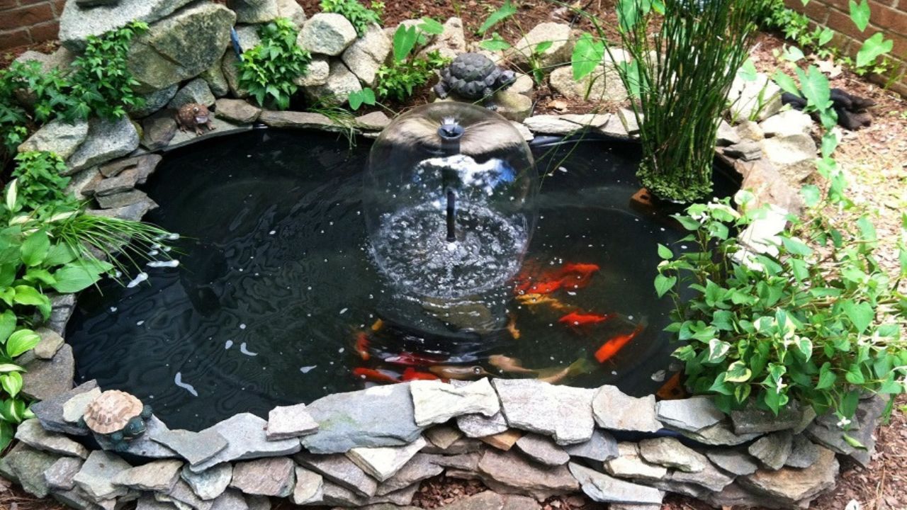 How to Produce a Do-It-Yourself Solar-Powered Fish Pond