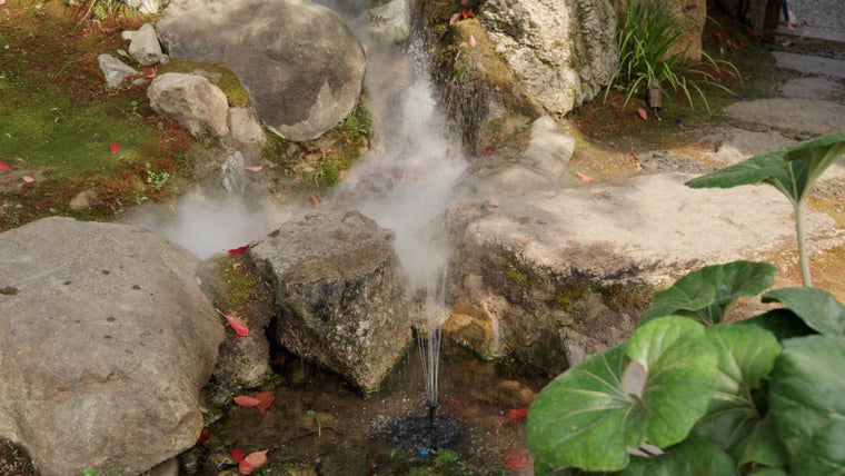 Choisir une pompe pour eaux peu profondes ou profondes