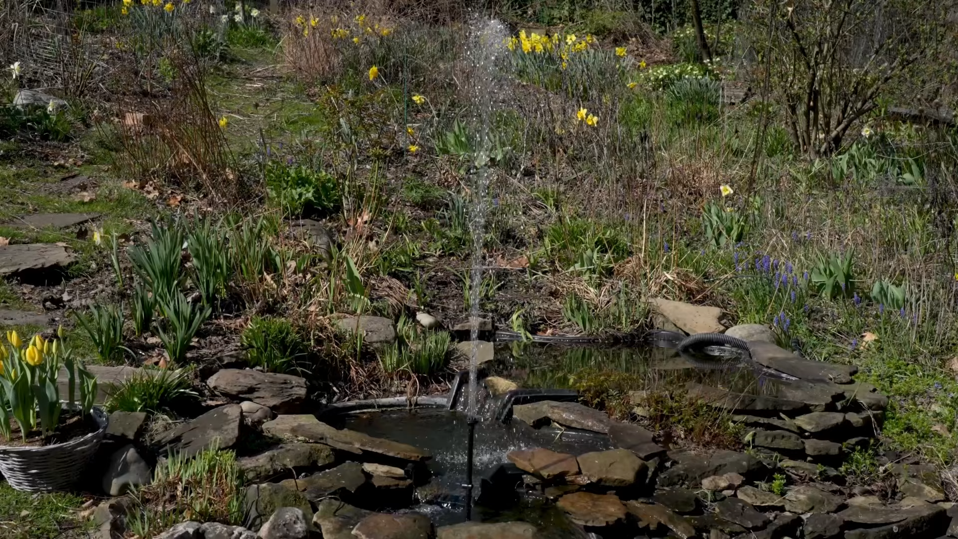 Unboxing experience Poposoap solar water pump: my new favorite for garden water features