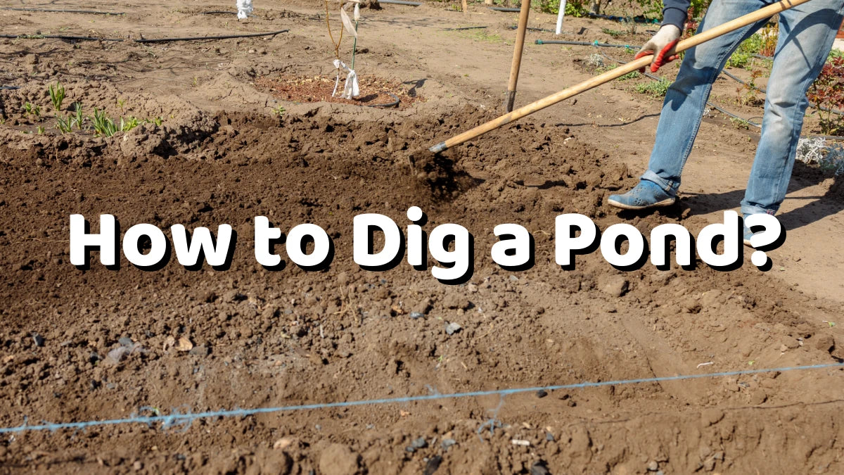 How to Dig a Pond