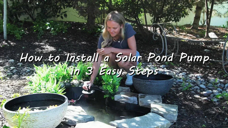 Comment installer une pompe solaire pour bassin en 3 étapes faciles - P108D