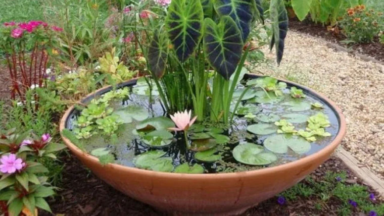 Idées de bricolage Comment créer un mini étang avec une fontaine alimentée par Poposoap