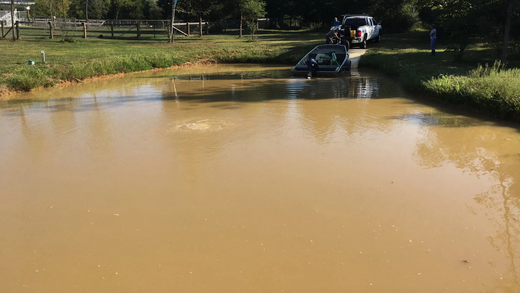 Five Causes, Hazards, and Seven Solutions for Murky Pond Water