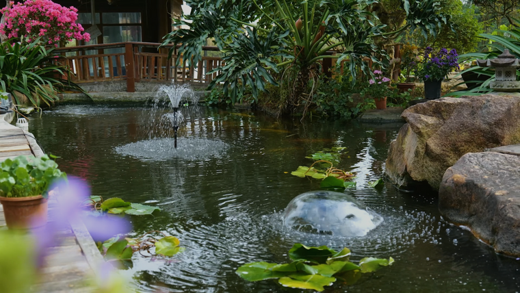 Filtration 101 : Gardez votre bassin propre grâce au guide complet de filtration d'étang