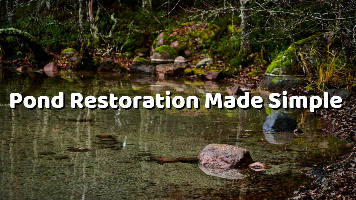 Pond Restoration Made Simple