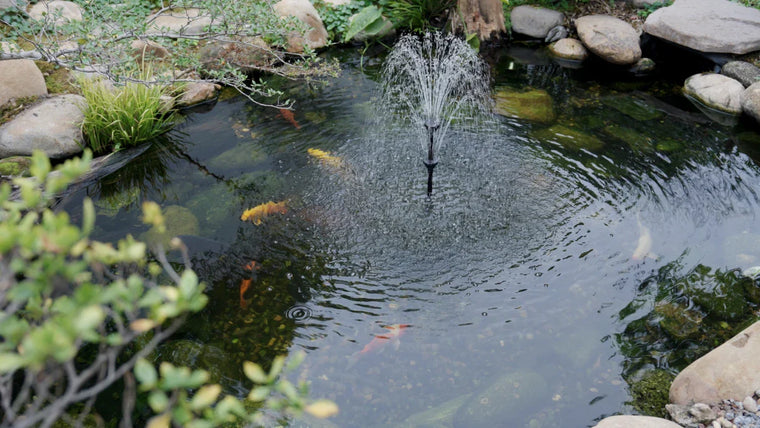 La pompe de la fontaine Poposoap ne pulvérise plus d'eau ? Cet article vous apprendra comment la résoudre rapidement et la réparer !