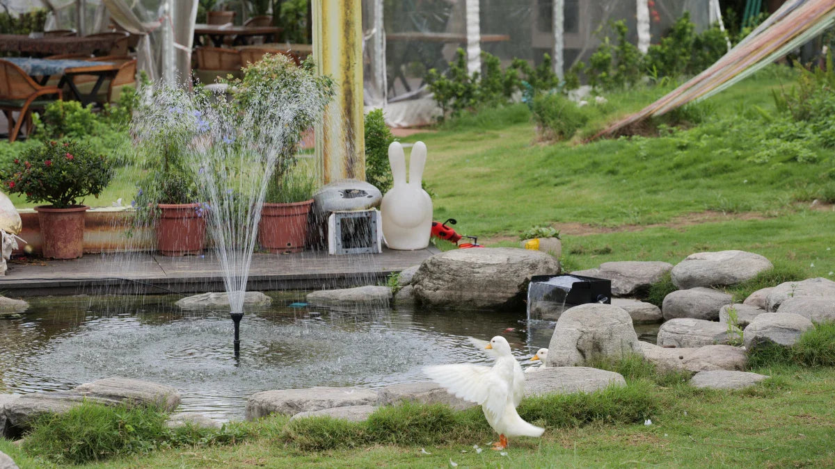 Why Pond Aeration Matters More Than You Think