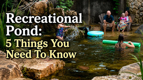 Recreational Pond: 5 Things You Need To Know