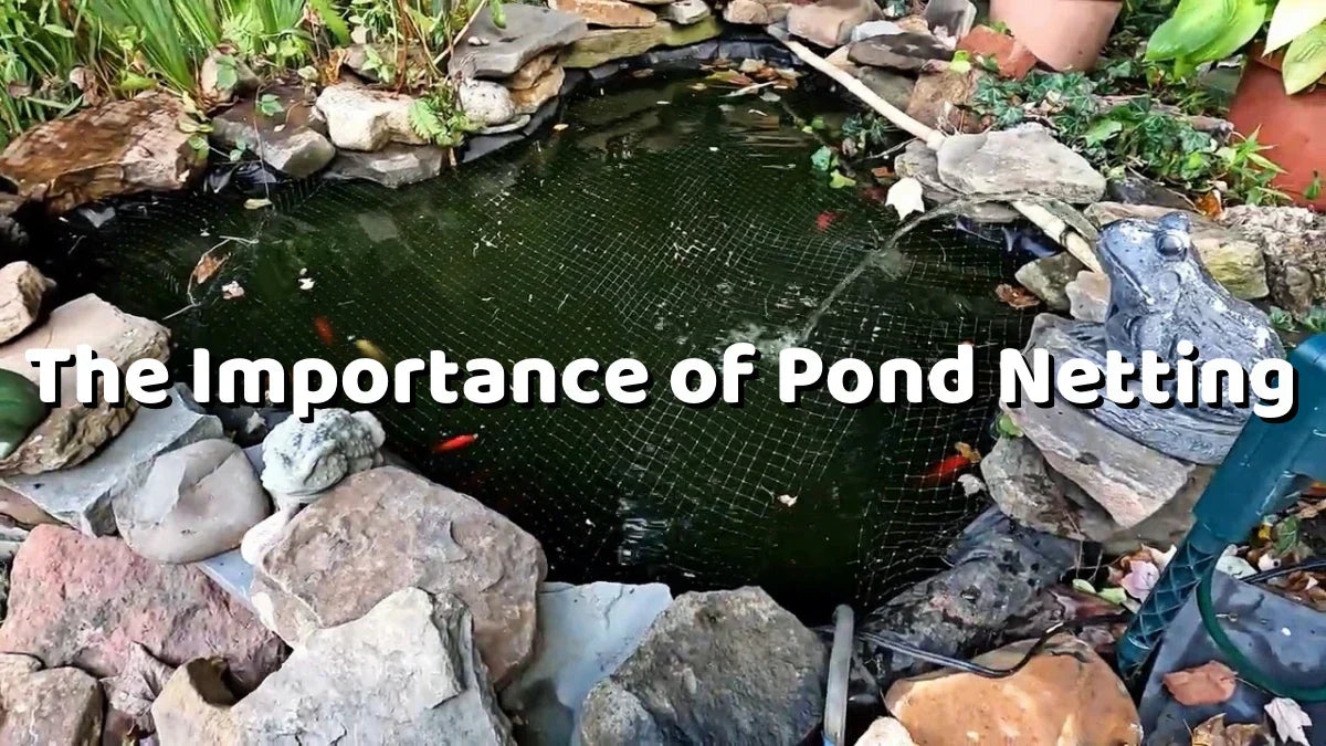 The Importance of Pond Netting